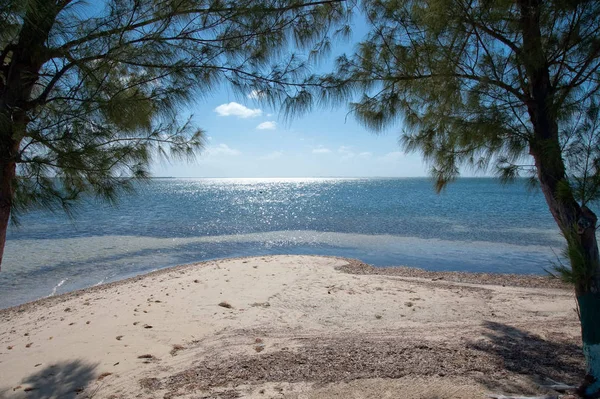Playa Cayman Kai Gran Caimán — Foto de Stock