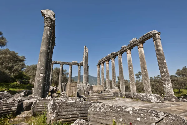 Templo Zeus Euromos Para Mim Templo Grego Arruinado Perfeito Situado — Fotografia de Stock