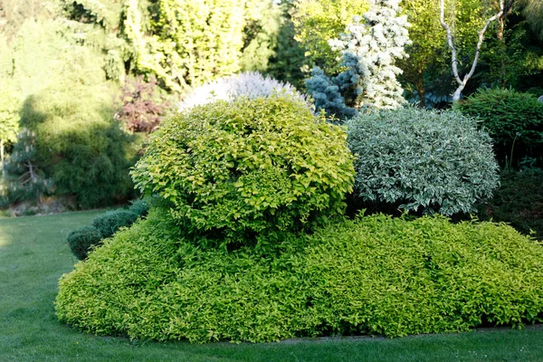 Colorido Jardín Primavera Luz Del Sol Noche Concepto Jardinería Primavera — Foto de Stock