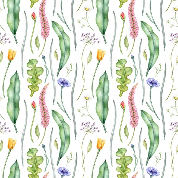 Aquarel Bloemmotief Met Wilde Bloemen Kruiden Hand Getekende Botanische Illustratie — Stockfoto