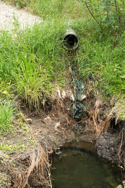 Tubo Escorrentía Circular Hormigón Hierba Verde Que Descarga Agua —  Fotos de Stock