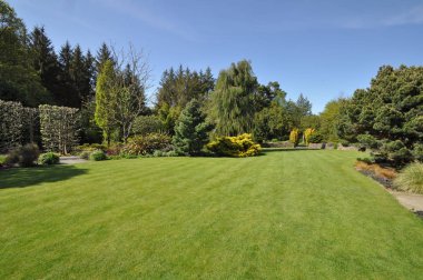 Beautiful lawn in an English style garden. Taken at RHS Rosemoor, Torrington, North Devon, England clipart