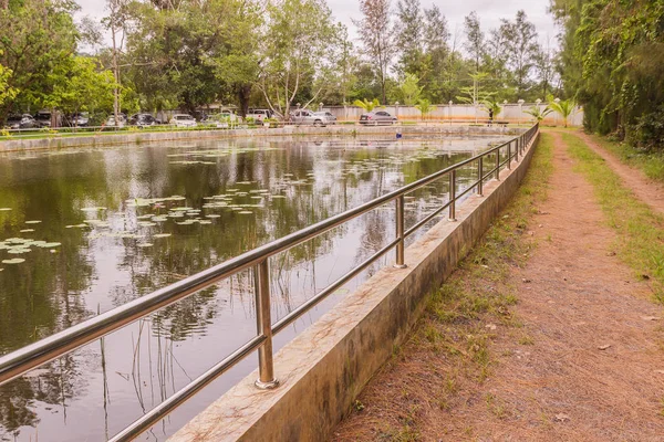 Edelstahlzaun Teich Zum Schutz — Stockfoto