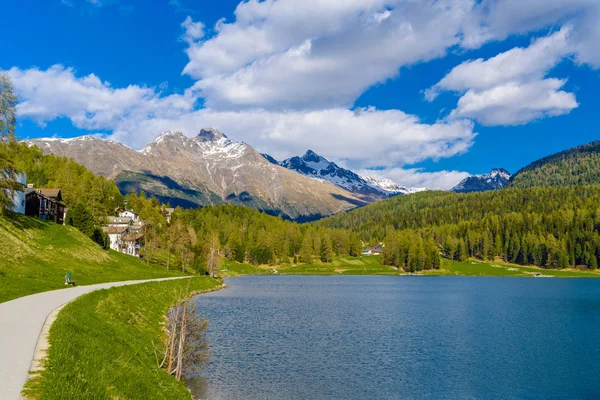 Krystalicznie Błękitne Jeziora Moritz Sankt Moritz Szwajcaria Gryzonia Maloja — Zdjęcie stockowe