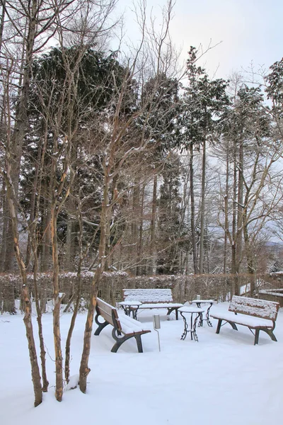 Utomhusträdgård Cover Med Snö Vintersäsongen — Stockfoto