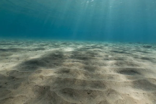 Tropical Waters Red Sea — Stock Photo, Image