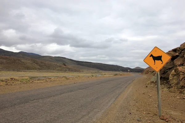 Uyarı Işareti Keçi Yolu Üzerinde Neuquen Patagonia Arjantin Için — Stok fotoğraf