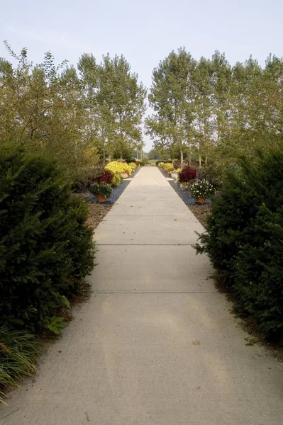 Genomen Arboretum Tuin Champaign — Stockfoto