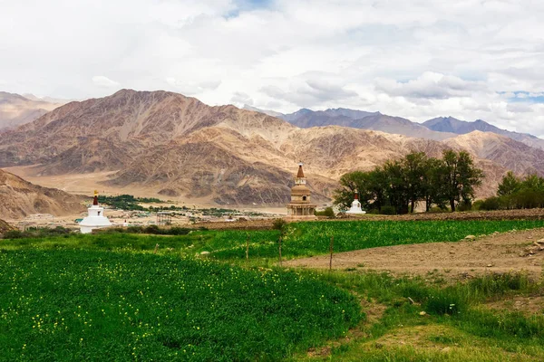 Φυσικό Τοπίο Στο Leh Ladakh Jammu Και Κασμίρ Ινδία — Φωτογραφία Αρχείου