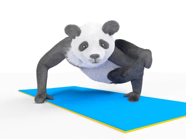 かわいいスポーティな動物パンダは Excersises を取り組んでいます 白い背景の上の困難なヨガの練習スポーツの強い人物 — ストック写真