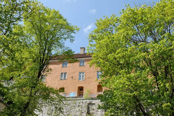 Residencial Ciudad Vieja Alto Tallin Pie Sobre Muro Fortificación Rodeado — Foto de Stock