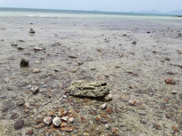 ビーチの砂はありませんが 様々なサイズの石が混乱のように散らばっています — ストック写真