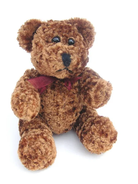 Niedliche Braune Kleine Teddy Spielzeug Isoliert Über Weiß — Stockfoto