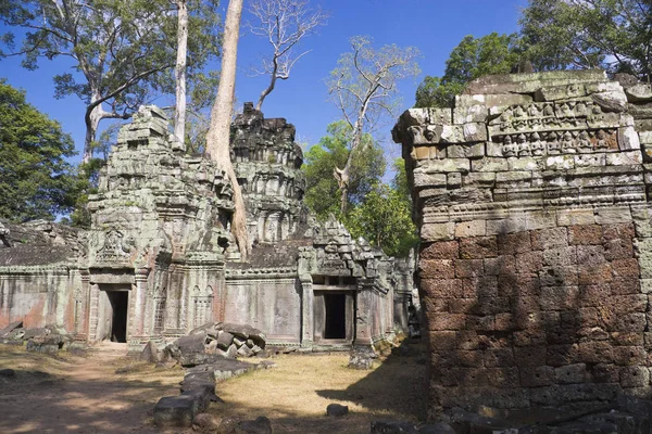 캄보디아 씨엠립에 위치한 유네스코 세계문화유산타프롬의 이미지 이것은 할리우드 크로프트 레이더가 — 스톡 사진