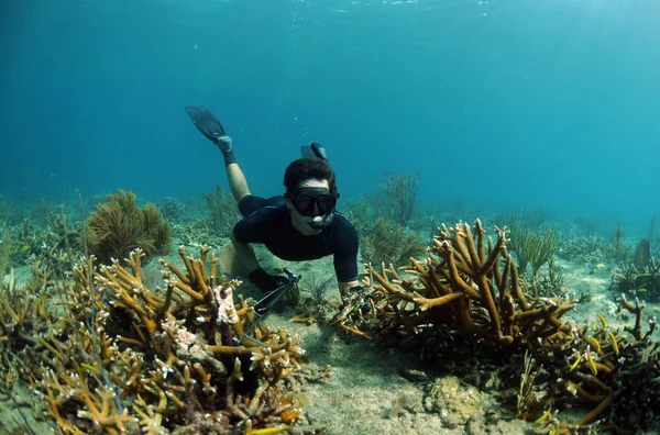 Άνθρωπος Που Ψαρεύει Στον Ωκεανό Καλάμι Κοράλλια Και Γοργόνες Στο — Φωτογραφία Αρχείου