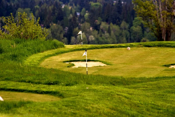 Practice Golf Putting Green with green grass and miniature sand traps and flag.