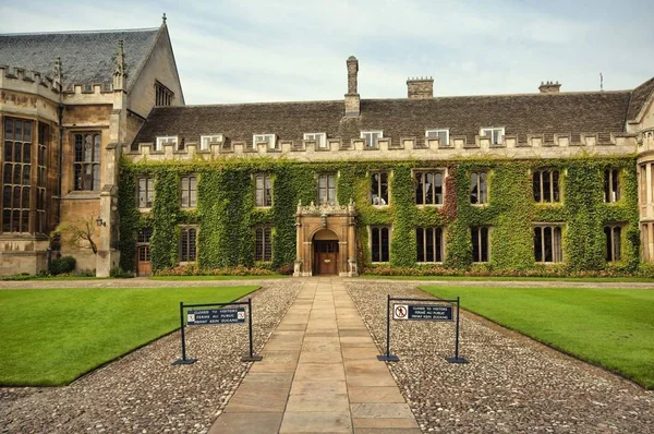 Плющ Покритий Стіною Троїцького Коледжу Кембридж Великобританія — стокове фото