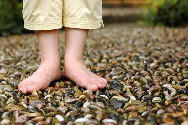 A closeup on foot reflexology walk path at garden. Shallow focus on foot and stone.