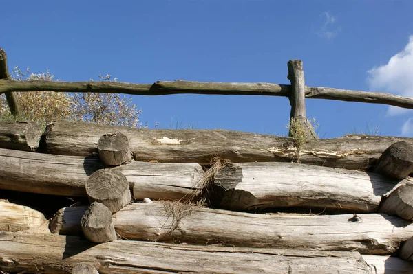 Close Shot Open Air — Stock Photo, Image