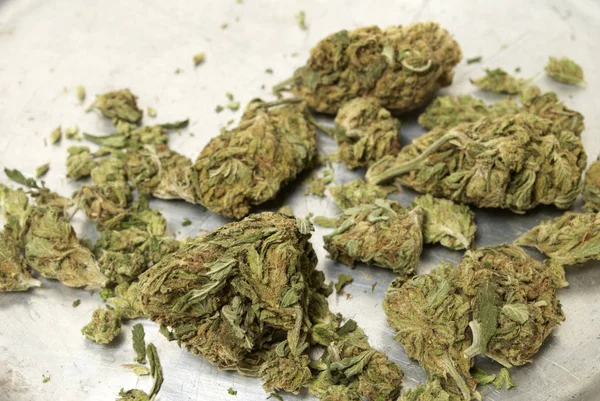 Ogräs Medicinsk Marijuana Grunge Detalj Och Bakgrund — Stockfoto