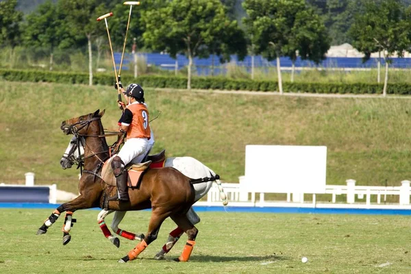 Wizerunek Graczy Polo Akcji — Zdjęcie stockowe