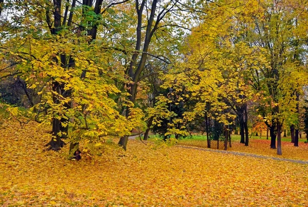 秋の公園 — ストック写真