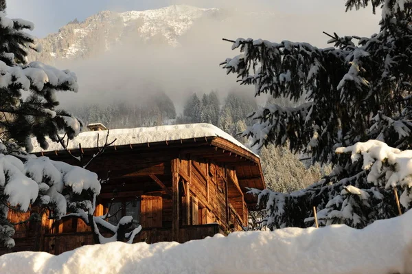 Podrobný Záběr Chamonix — Stock fotografie