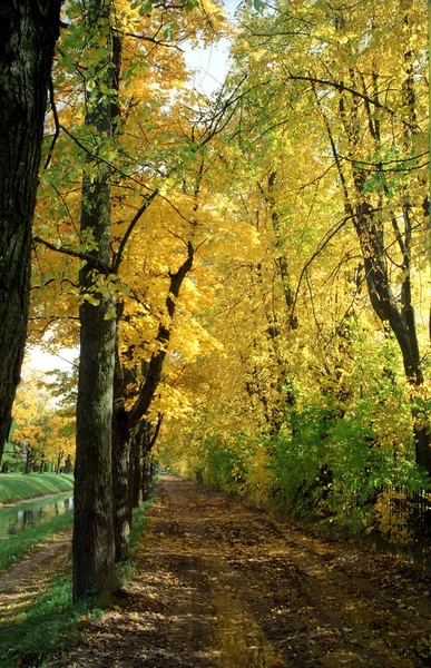 シャネルに沿った黄金の光の秋の路地 — ストック写真