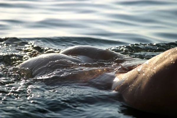 Die Frau Mit Dem Schönen Körper Wasser Bei Sonnenuntergang — Stockfoto