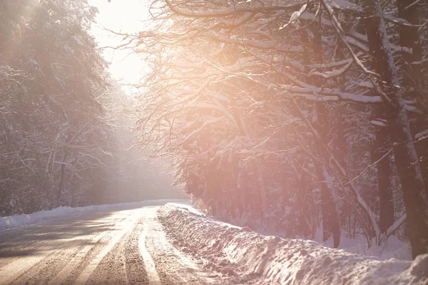 Śnieżna Zima Road Drewnie Zima Las Białorusi — Zdjęcie stockowe