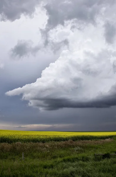 Storm Moln Saskatchewan Prärien Scen Canada Gård — Stockfoto