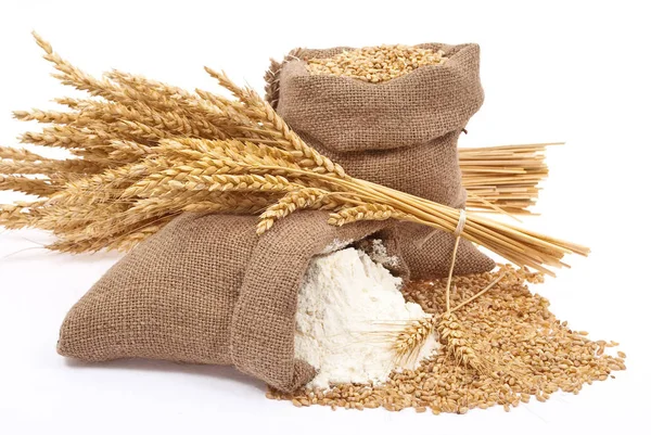 Flour Wheat Grain — Stock Photo, Image