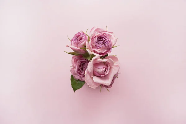 Ramo Rosas Rosadas Sobre Fondo Rosado Vista Superior — Foto de Stock