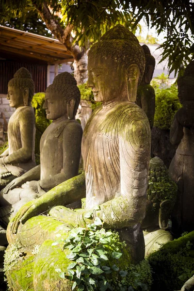 Den Gamla Stenen Buddha Statyn Indonesien Bali — Stockfoto