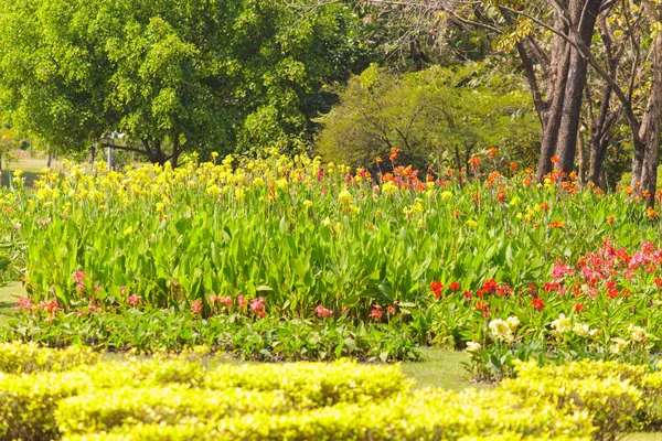 Belo Jardim Parque Verde — Fotografia de Stock