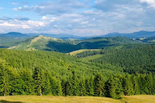 Gyönyörű Zöld Hegyvidéki Táj Fák Kárpátokban — Stock Fotó