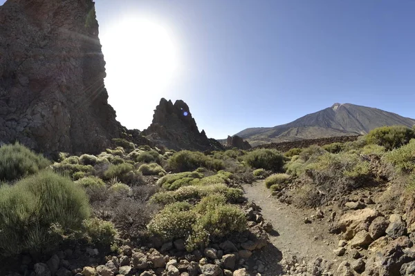 Roques Garcia Teide Tenerife Volkanik Ada — Stok fotoğraf