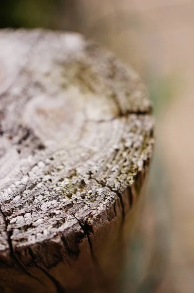 Close Wooden Pole — Stock Photo, Image