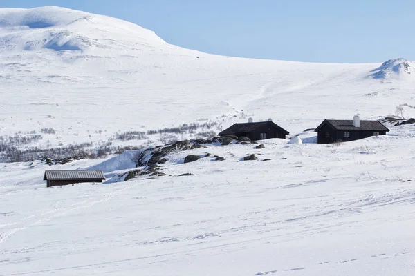 노르웨이 Jotunheimen 공원에 — 스톡 사진