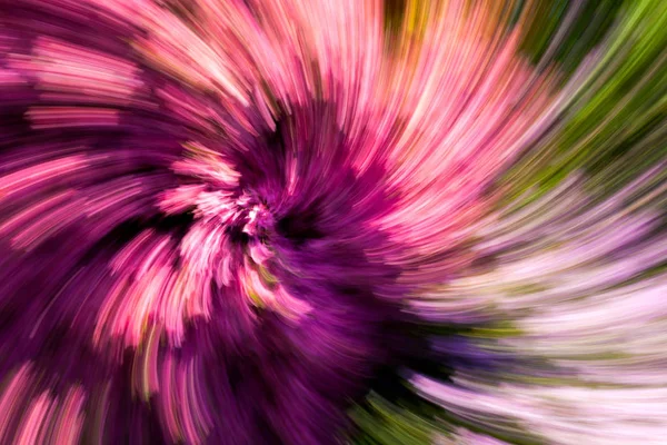 Πολύχρωμο Αφηρημένο Φόντο Λουλουδιών Κήπο Σπειροειδής Ροζ Μωβ Πράσινο Τοπίο — Φωτογραφία Αρχείου