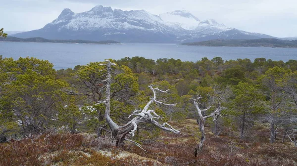 Paesaggio Artico Bellezza Della Natura — Foto Stock