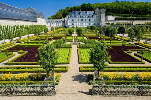 Zamek Villandry Ogrodu Indre Loire Centrum Francja — Zdjęcie stockowe