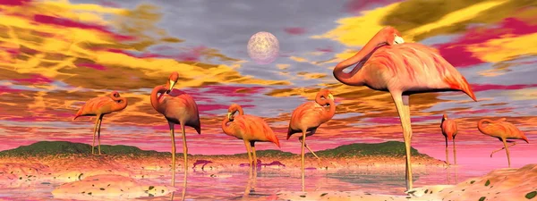 Flamingos Herde Steht Friedlich Wasser Bei Buntem Sonnenuntergang — Stockfoto
