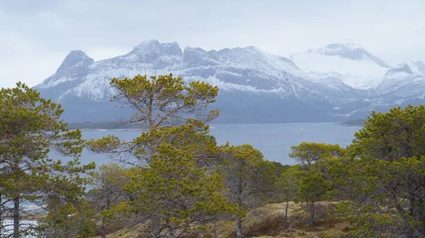 Vista Panorâmica Paisagem Nordland Durante Dia — Fotografia de Stock