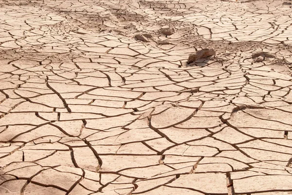 Dry Land Texture Desert — Stock Photo, Image