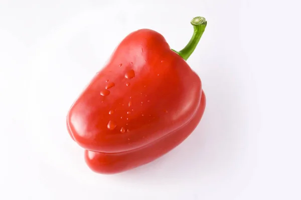 Bell Pepper Isolated White — Stock Photo, Image