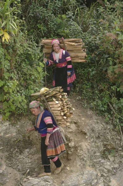 Geblümte Hmong Frauen Die Von Der Schinderei Des Holzes Den — Stockfoto