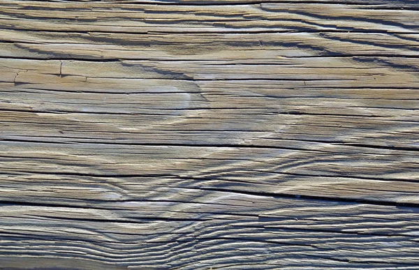 Sražena Texturou Suchého Kusu Naplaveného Dřeva — Stock fotografie