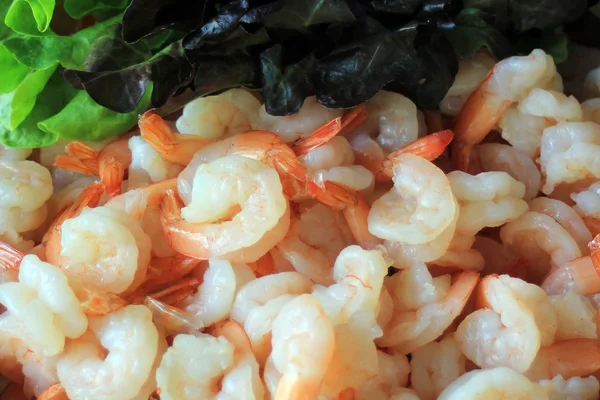 Closeup Group Fresh Shrimp — Stock Photo, Image