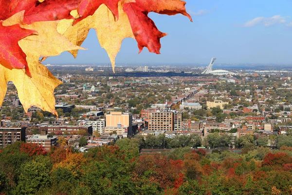 Panoramautsikt Över North Montréal Québec Kanada Hösten Eller Falla Säsong — Stockfoto